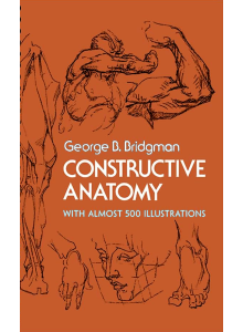 George B Bridgman | Constructive anatomy