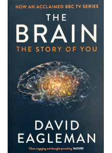 Дейвид Игълман | Мозъкът