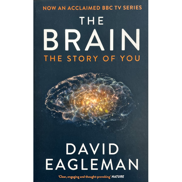 Дейвид Игълман | Мозъкът 1