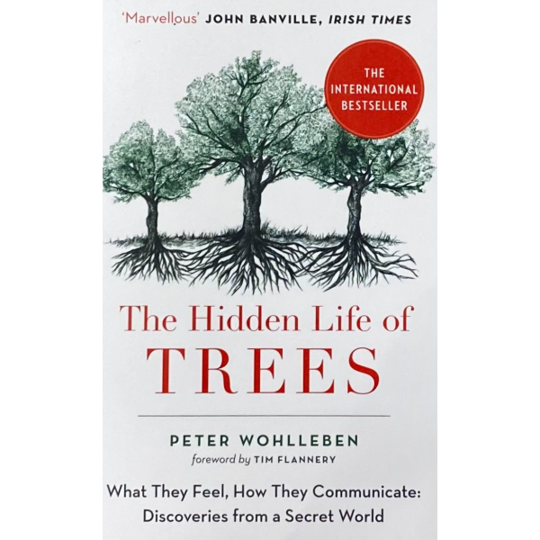 Петер Волебен | "Тайният живот на дърветата" 1