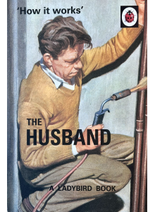 The Ladybird Book of The Husband