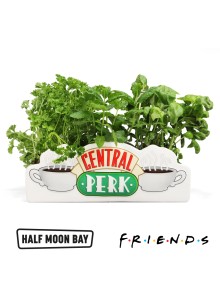 TTVFDS01 Table Top Vase - Friends Central Perk ваза