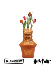 ТТVHP07 Vase - Harry Potter mandrake