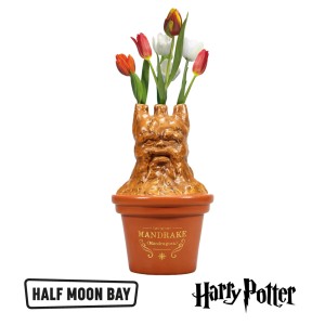 ТТVHP07 Vase - Harry Potter mandrake