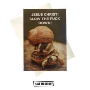 CARD9312 Card - Slow down