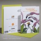 Поздравителна картичка "Flamingos Dare to be a Penguin" 2