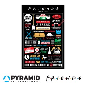 PP33324 Poster 186 - Friends Infographic
