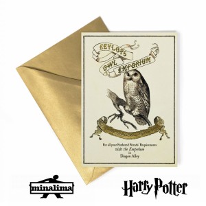 HPCARD30  Eeylops Owl Emporium Foiled Notecard Harry Potter 