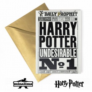 HPCARD11 Harry Potter Giftcard - Harry Potter Undesirable N1