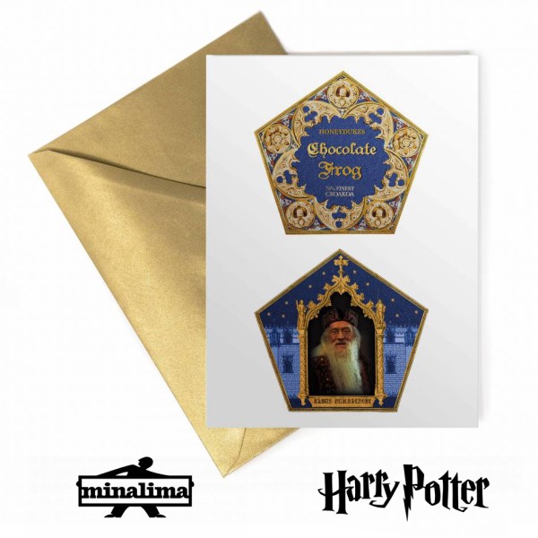 HARRY POTTER - HPCARD49L Harry Potter Lenticular Giftcard - Chocolate Frog Packaging 1