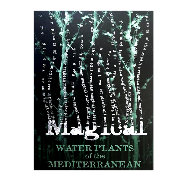 ХАРИ ПОТЪР - Пощенска картичка "Магически водни растения от Средиземноморието"  1