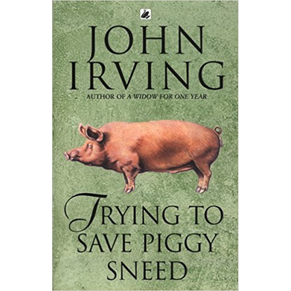 John Irving | Trying To Save Piggy Sneed 1