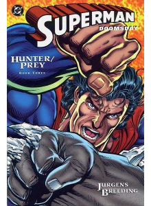 Superman: Doomsday Book 3