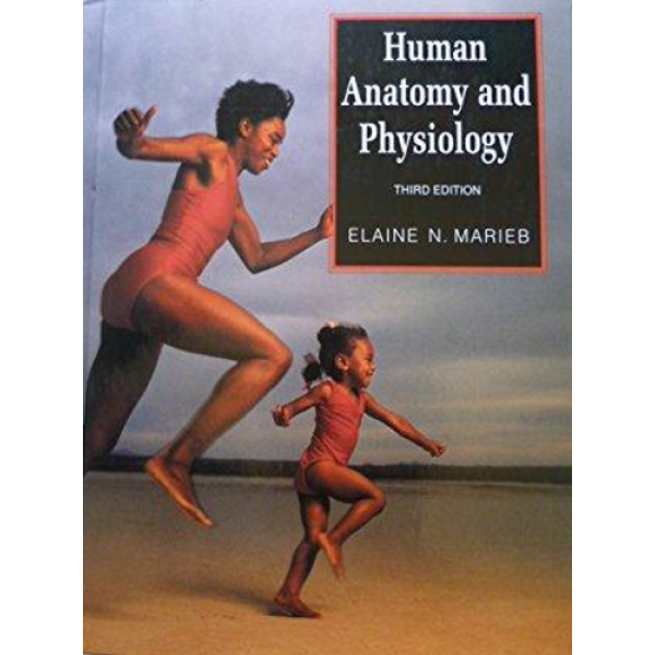 Elaine Nicpon Marieb | Human Anatomy 1